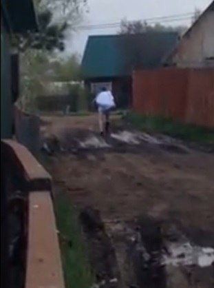 Расправа над собакой в поселке Боровский - 16 мая 2015 года