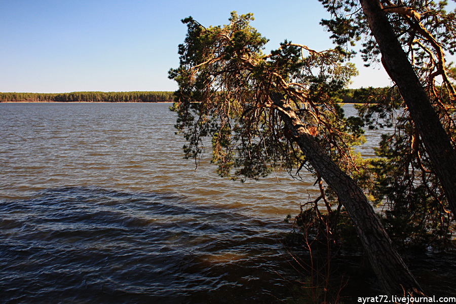 Озеро Гурино в Свердловской области - 7 июня 2015