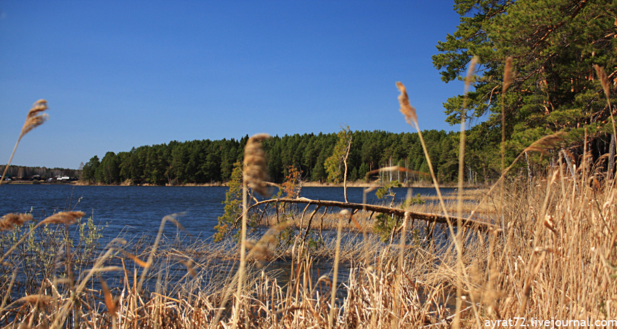 Озеро Гурино в Свердловской области - 7 июня 2015