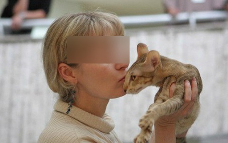 В Тюмени кошек держали без воды и еды в квартире 