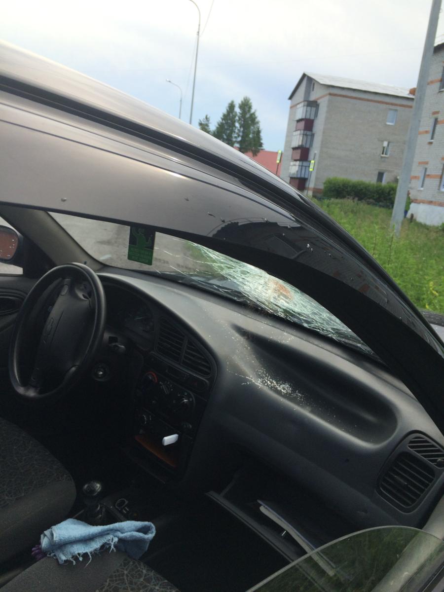 Автомобилистка протаранила фонарный столб в Ялуторовске: в больнице оказалась ее 18-летняя пассажирка – 13 июня 2016
