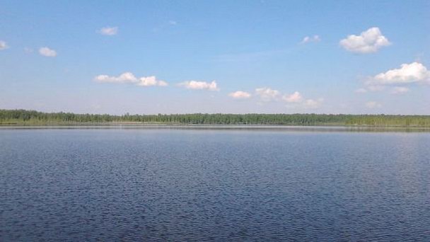 Озеро Ахманка в Тюменской области - 30 июня 2016 года