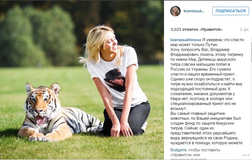 Сухинова в социальных сетях обратилась к Путину: призывает спасти тигренка Мир