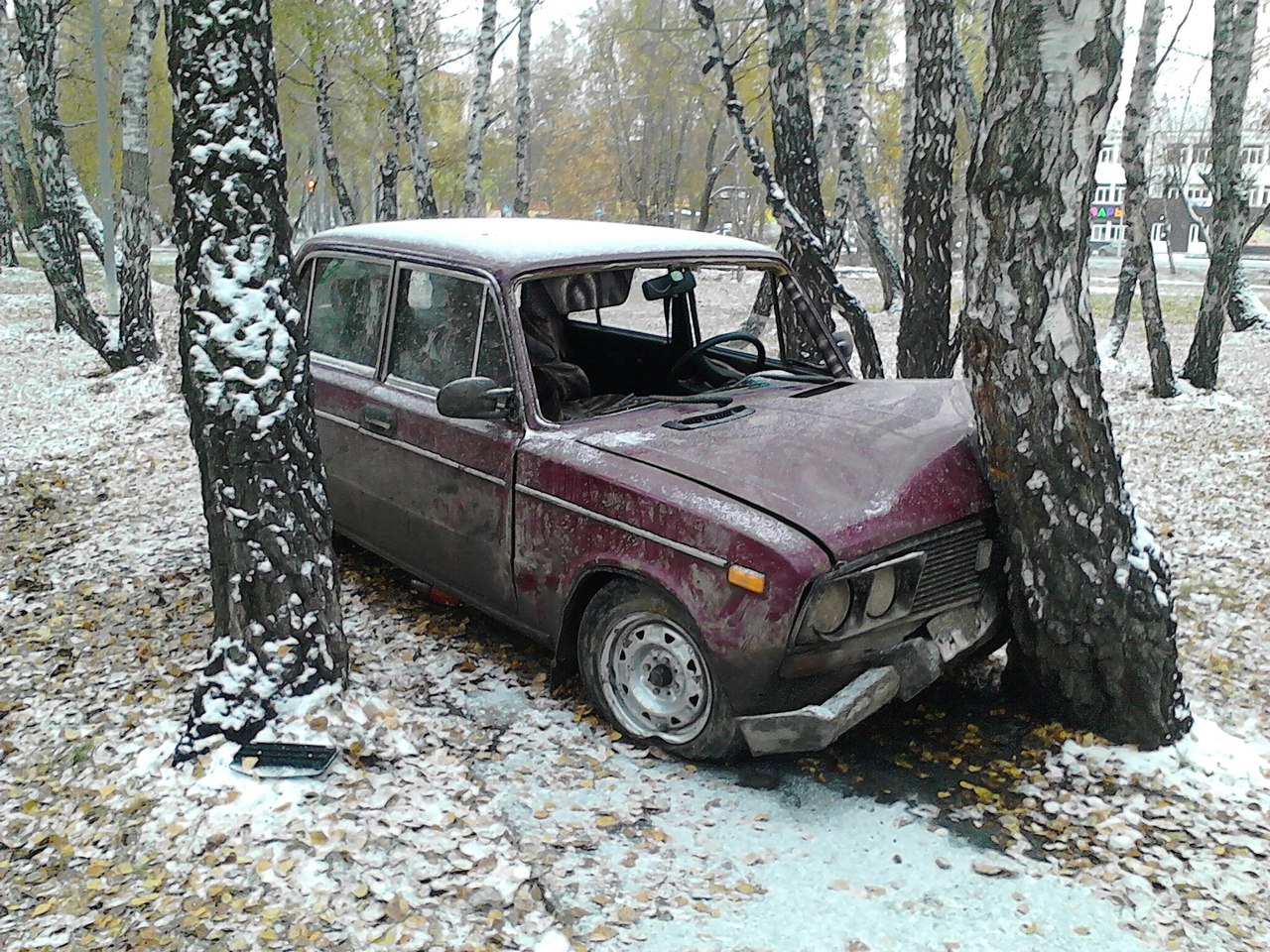 В саду Дружбы тюменцы нашли разбитый автомобиль, который могли угнать |  Наша Газета