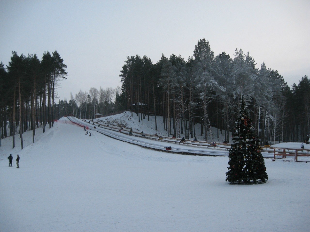кулига парк зимой