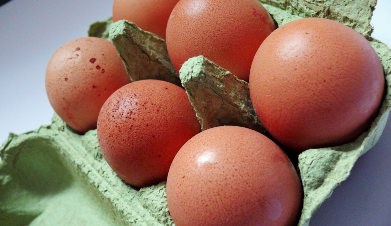 Сальмонеллез яйца куриные. Томинкса фото яйца. Яйца в мм2 2023 РБ. Купить яйца в свердловской области