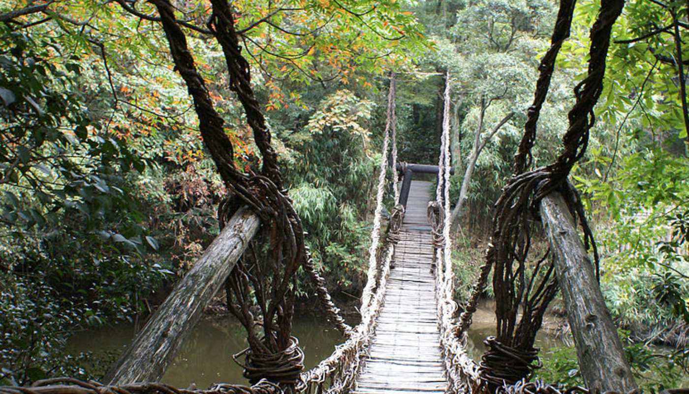 В тюменском парке Константина Лагунова установят подвесной мост