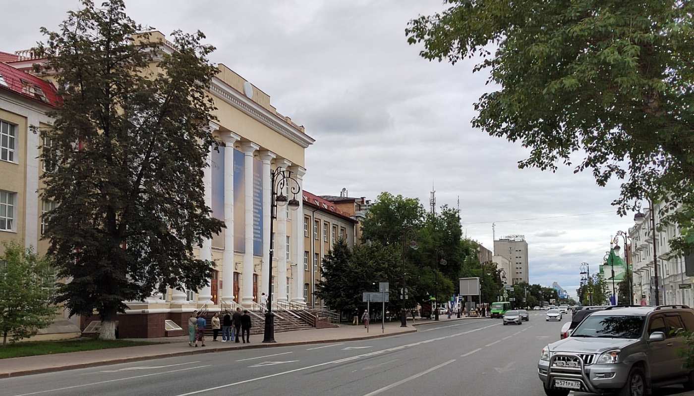 Ремонт дорог, школьные автобусы, цены на такси и опасный паук-оса