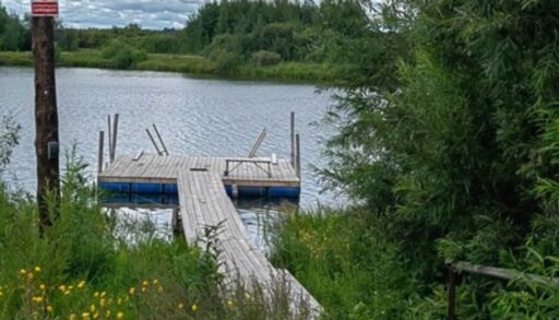 Тюменским моржам прокуратура запретила плавать в озере Кривом