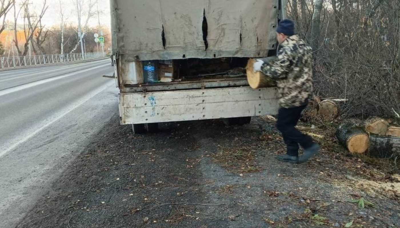 Последствия шторма в Тюмени: упавшие деревья, сломанные ветки и остановки