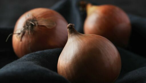 луковицы на темном фоне лежат