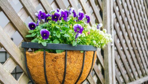 Кашпо с фиолетовыми цветами
