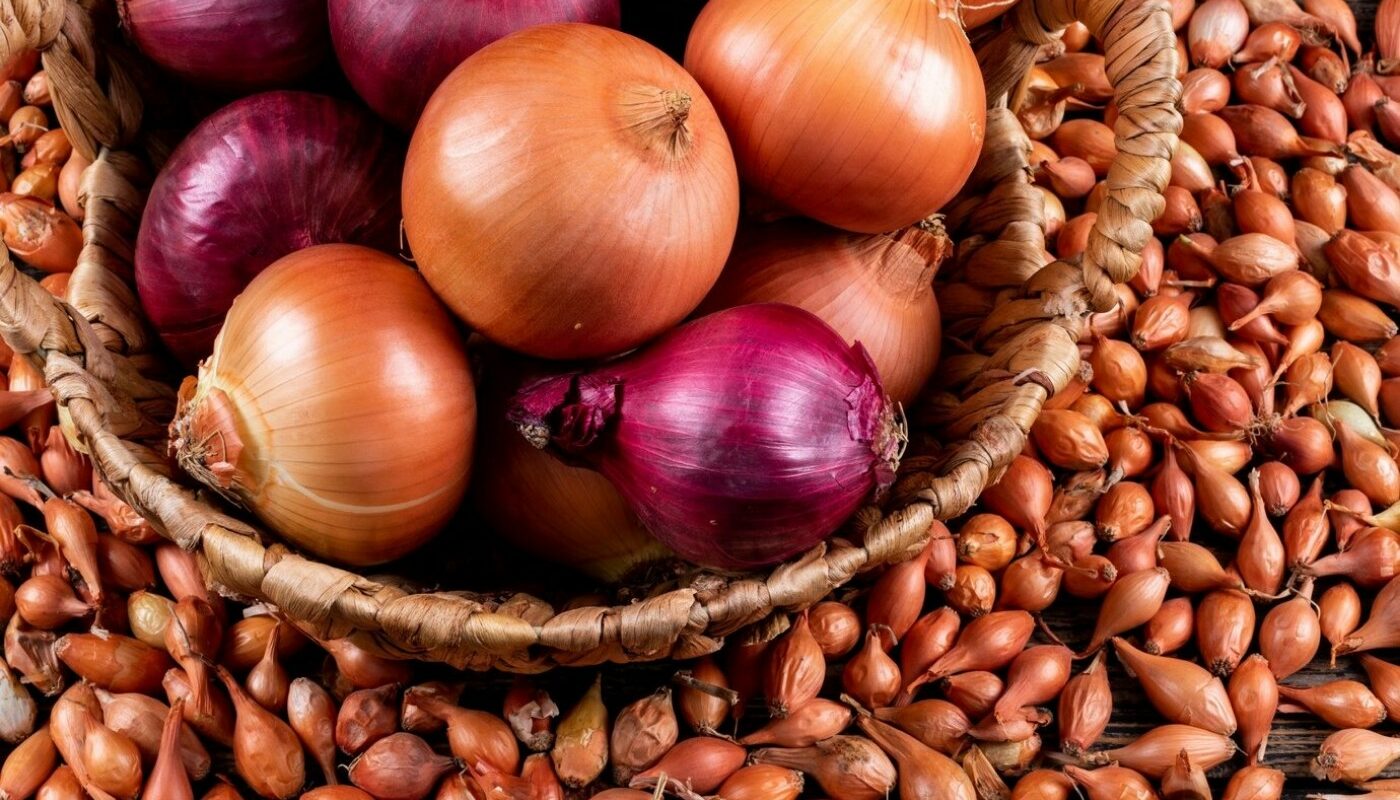 лук-репка и севок