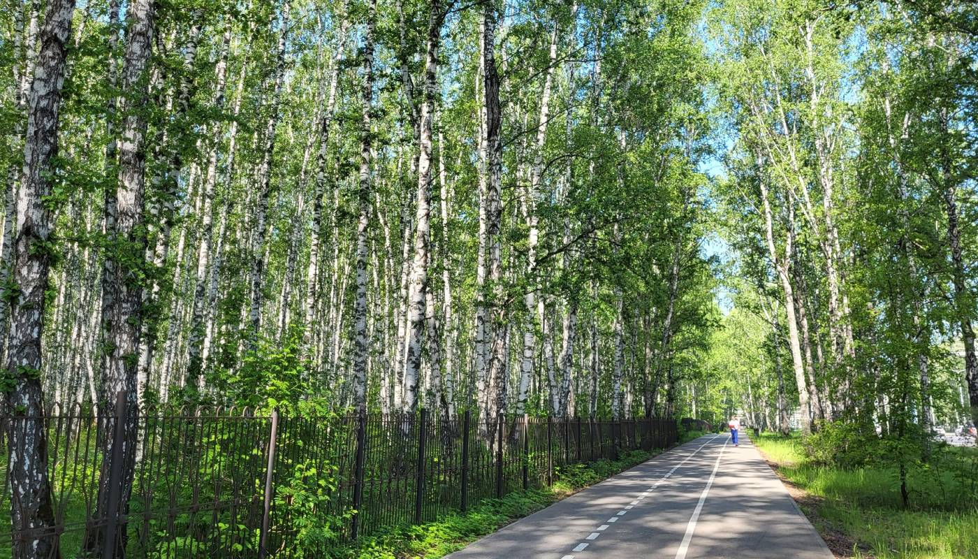 Тюменское агентство развития креативных индустрий будет управлять городскими парками