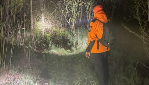 В Тюмень съехались 250 волонтеров со всей России