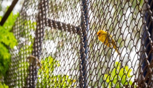 Дача забор сетка рабица