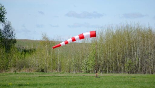 В Тюмени назвали самые редкие профессии