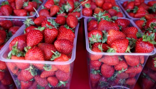 В Тюменскую область привезли 11 тонн киргизских ягод