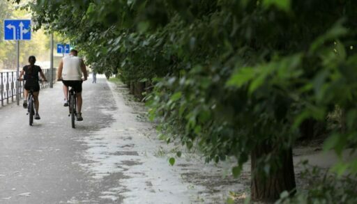 До 2030 года в Тюмени появятся новые лесопарки