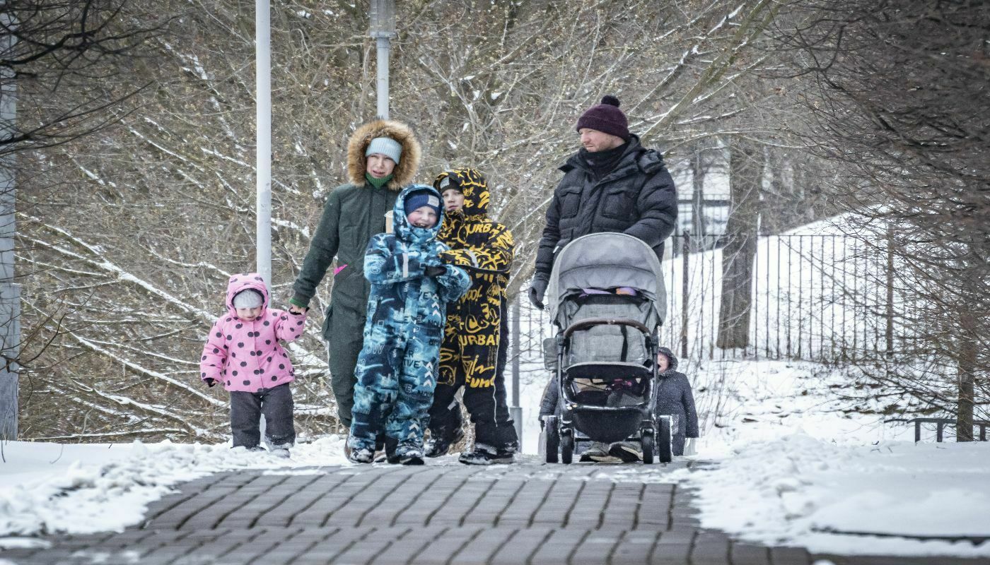 Жара формирует новые времена года: сенсация от учёных