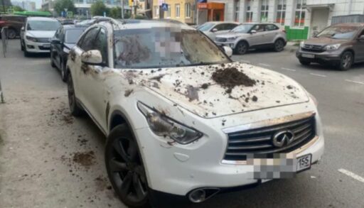 Месть или злая шутка? В центре Тюмени авто обмазали навозом
