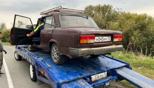 На тюменской трассе задержали пьяного пенсионера за рулем, который ехал "за котятками"