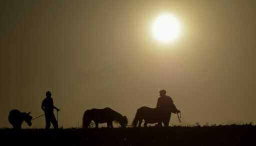 Люди под Солнцем
