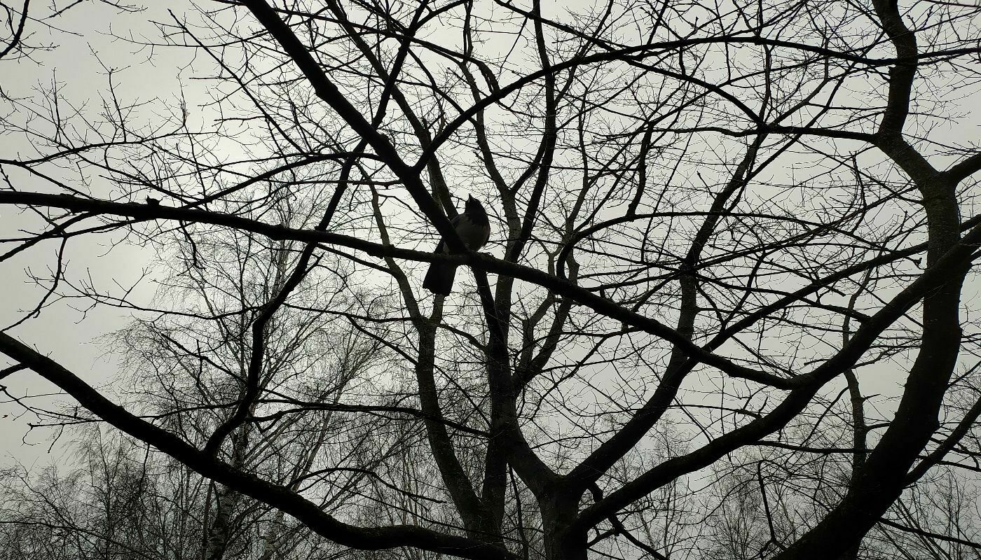 Время года, которое потеплело сильнее всего, названо климатологом