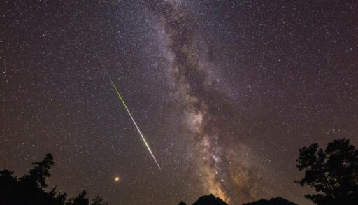 Готовьте желания: ночью тюменцы увидят мощный звездопад