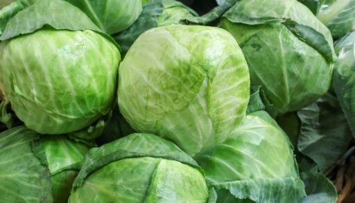 Более 22 тысяч тонн овощей открытого грунта собрали тюменские аграрии