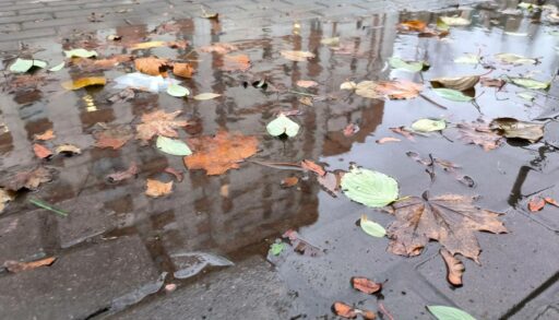 На следующей неделе в Тюмень вернутся дожди и похолодает