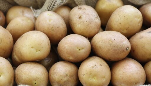 Тюменские аграрии собрали почти 61,5 тысяч тонн овощей