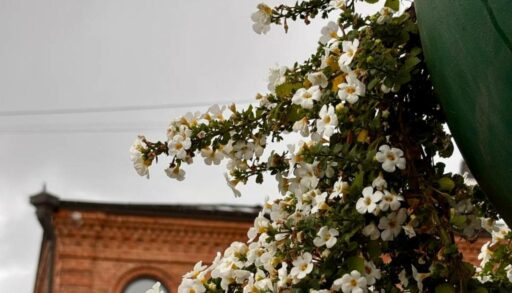 В среду дождь в Тюмени прекратится и потеплеет