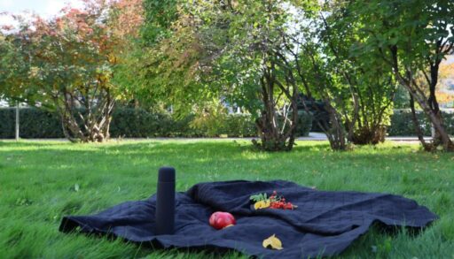 Вторник станет самым жарким днем в Тюмени на этой неделе