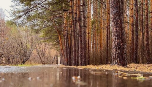 В четверг в Тюмень вернется дождь