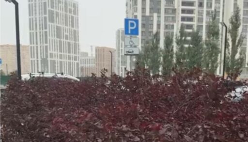 В Тюмени выпал первый снег