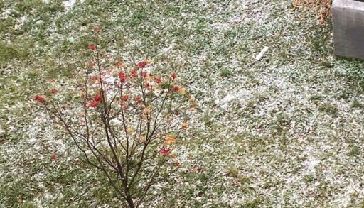 В Тюмени 1 ноября ожидается мокрый снег