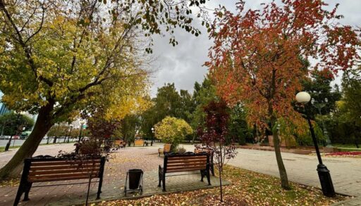 Пятница в Тюмени будет теплой