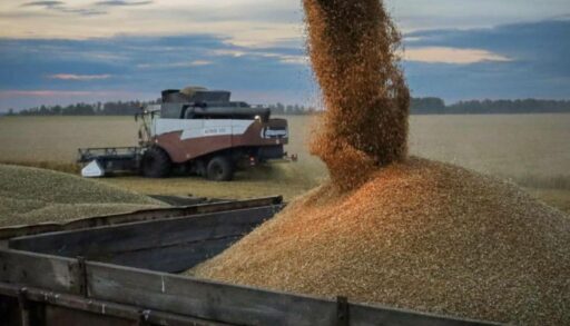 Почти 1,6 млн тонн зерна собрали тюменские полеводы