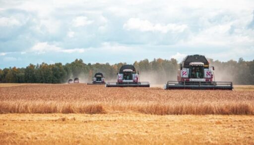 Тюменские аграрии уже собрали около 1,5 млн тонн зерна