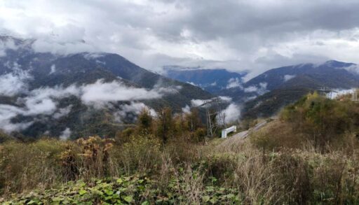 Роспотребнадзор не обнаружил загрязнения воздуха в Тюмени