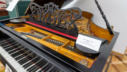 «Рояль в кустах»: неожиданный участник переговоров США и России в Абу‑Даби