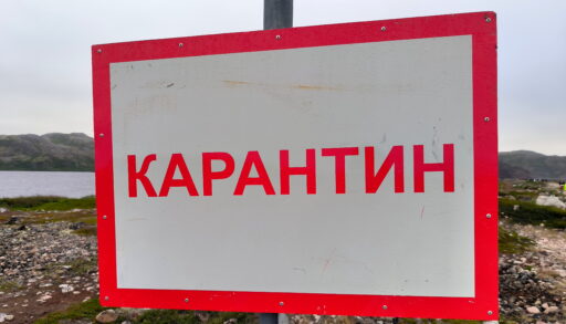 В тюменском селе введен карантин по бешенству животных