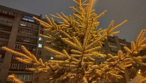 В четверг в Тюмени дождь прекратится и вновь похолодает