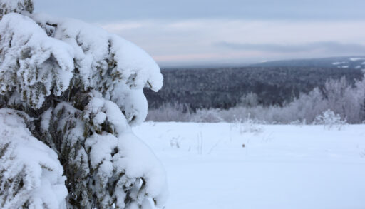 Спасатели зафиксировали сигнал телефонов пропавших туристов у горы Ослянка