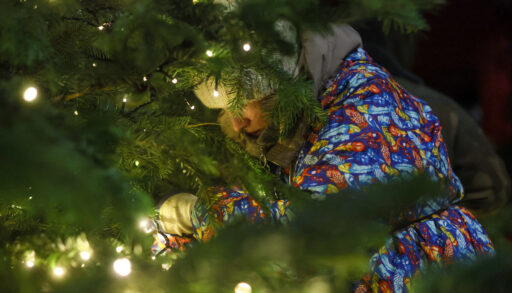 Как правильно выбрать уличную гирлянду: советы МЧС