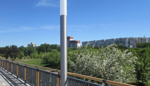 Глава Тюмени: в Заречном парке высадят больше деревьев