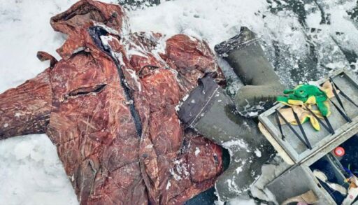 На озере в Тюменской области утонул рыбак