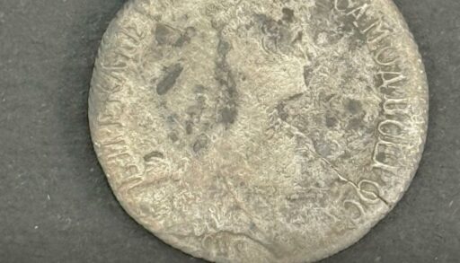 В Тобольске собрана нумизматическая коллекция из 790 старинных монет